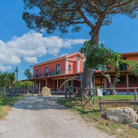 Terra Di Vento Bed and Breakfast Montecorvino Pugliano Buitenkant foto