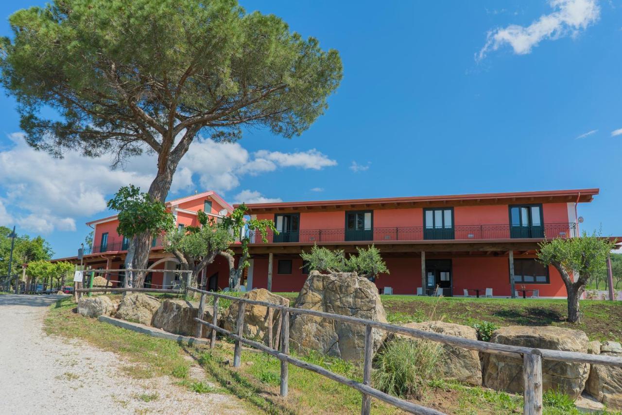 Terra Di Vento Bed and Breakfast Montecorvino Pugliano Buitenkant foto