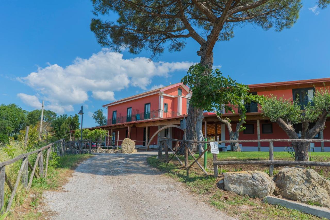 Terra Di Vento Bed and Breakfast Montecorvino Pugliano Buitenkant foto